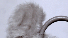 AI进化的关键之年：数据猿解读2025年人工智能发